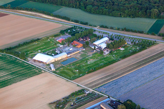 Vue d'oiseau de Parc de football et de golf du Palatinat du Sud à Adamshof Kandel à Kandel dans le département Rhénanie-Palatinat, Allemagne
