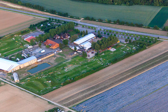 Parc de football et de golf du Palatinat du Sud à Adamshof Kandel à Kandel dans le département Rhénanie-Palatinat, Allemagne vue du ciel