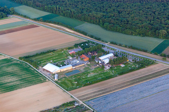 Enregistrement par drone de Parc de football et de golf du Palatinat du Sud à Adamshof Kandel à Kandel dans le département Rhénanie-Palatinat, Allemagne