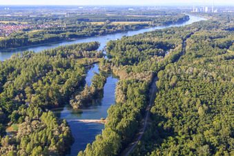 Vue aérienne de Pont de l'Auer Althrein à Bremengrund à Au am Rhein dans le département Bade-Wurtemberg, Allemagne