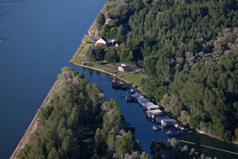 Photographie aérienne de Auer Altrhein à Au am Rhein dans le département Bade-Wurtemberg, Allemagne