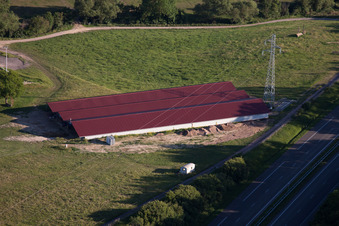 Haras de la Neée à Neewiller-près-Lauterbourg dans le département Bas Rhin, France vu d'un drone