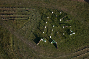 Haras de la Neée à Neewiller-près-Lauterbourg dans le département Bas Rhin, France depuis l'avion