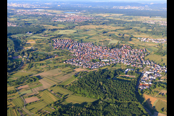 Vue aérienne de Vue des prairies du Rhin depuis l'ouest à Au am Rhein dans le département Bade-Wurtemberg, Allemagne
