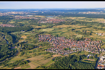 Vue aérienne de Vue des prairies du Rhin depuis l'ouest à Au am Rhein dans le département Bade-Wurtemberg, Allemagne