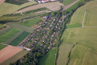 Vue aérienne de Jardin familial à Herrenberg dans le département Bade-Wurtemberg, Allemagne