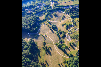 Vue aérienne de Jardin botanique universitaire Ulm à le quartier Eselsberg in Ulm dans le département Bade-Wurtemberg, Allemagne