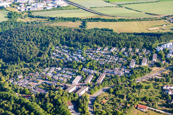 Vue aérienne de Pente de chênes à le quartier Böfingen in Ulm dans le département Bade-Wurtemberg, Allemagne