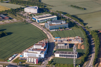 Vue aérienne de Ferchau, Continental - ADC et BMW Car IT dans le parc scientifique II - Ulm à le quartier Eselsberg in Ulm dans le département Bade-Wurtemberg, Allemagne
