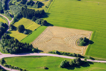 Vue aérienne de Prairie fraîchement tondue avec des andains de foin concentriques à le quartier Breithülen in Heroldstatt dans le département Bade-Wurtemberg, Allemagne