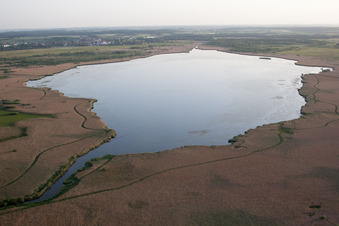 Vue aérienne de Zones riveraines de roseaux dans la région du lac Federsee dans le quartier de Kappel à Oggelshausen à Bad Buchau dans le département Bade-Wurtemberg, Allemagne