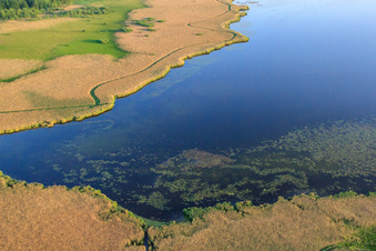 Photographie aérienne de Lac Federsee à Bad Buchau dans le département Bade-Wurtemberg, Allemagne