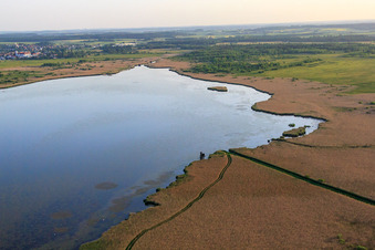 Vue oblique de Lac Federsee à Bad Buchau dans le département Bade-Wurtemberg, Allemagne