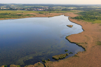Lac Federsee à Bad Buchau dans le département Bade-Wurtemberg, Allemagne d'en haut
