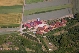 Vue aérienne de Quartier Mönchberg in Herrenberg dans le département Bade-Wurtemberg, Allemagne