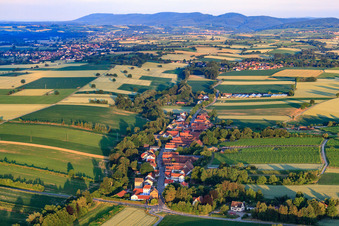 Vue aérienne de Vue du village le matin depuis l'est à Vollmersweiler dans le département Rhénanie-Palatinat, Allemagne