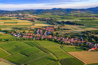 Vue aérienne de Vue du village le matin depuis l'est à Oberhausen dans le département Rhénanie-Palatinat, Allemagne