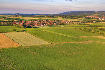 Vue aérienne de Champs le matin avant le village à le quartier Drusweiler in Kapellen-Drusweiler dans le département Rhénanie-Palatinat, Allemagne