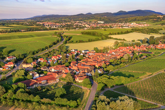 Vue aérienne de Vue du village le matin depuis le nord-est à Niederhorbach dans le département Rhénanie-Palatinat, Allemagne
