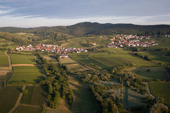 Vue aérienne de Quartier et environs en bordure du Haardt à le quartier Gleishorbach in Gleiszellen-Gleishorbach dans le département Rhénanie-Palatinat, Allemagne
