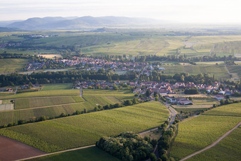 Image drone de Quartier Ingenheim in Billigheim-Ingenheim dans le département Rhénanie-Palatinat, Allemagne