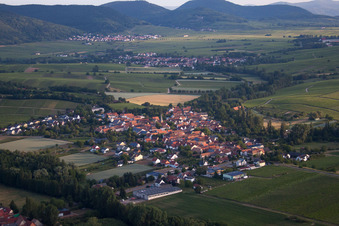 Photographie aérienne de Champs et vignobles avec en toile de fond la lisière de Haardt de la forêt du Palatinat à le quartier Heuchelheim in Heuchelheim-Klingen dans le département Rhénanie-Palatinat, Allemagne