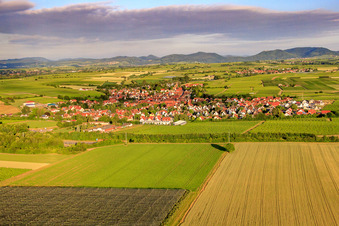 Vue aérienne de Vue du village le matin depuis l'est à Insheim dans le département Rhénanie-Palatinat, Allemagne