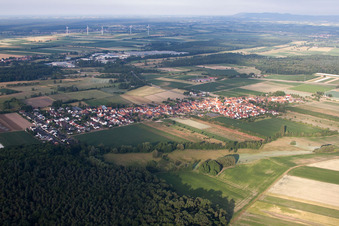 Du nord-est à Erlenbach bei Kandel dans le département Rhénanie-Palatinat, Allemagne vue d'en haut