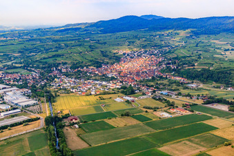 Vue aérienne de Vue du Kaiserstuhl depuis le nord à Bahlingen am Kaiserstuhl dans le département Bade-Wurtemberg, Allemagne