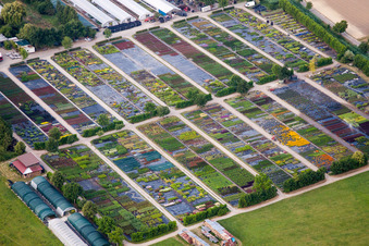 Vue aérienne de Pépinière de vivaces Kaiserstühler Staudenhof Gerhard Menton-Enderlin à Eichstetten am Kaiserstuhl dans le département Bade-Wurtemberg, Allemagne