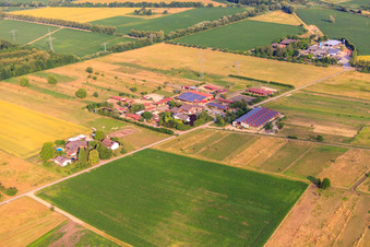 Vue aérienne de Pension pour chevaux Keller à Gottenheim dans le département Bade-Wurtemberg, Allemagne