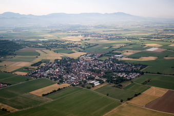 Vue aérienne de Quartier Oberrimsingen in Breisach am Rhein dans le département Bade-Wurtemberg, Allemagne