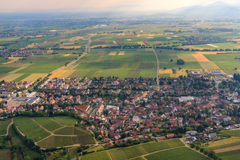Vue aérienne de Weinbergstr à Heitersheim dans le département Bade-Wurtemberg, Allemagne