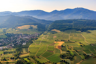 Vue aérienne de Schwärzestr à le quartier Britzingen in Müllheim im Markgräflerland dans le département Bade-Wurtemberg, Allemagne