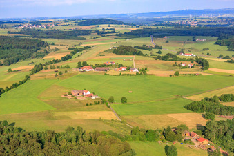 Vue aérienne de Quarter Horses de Gold Leaf Acres à le quartier Jossa in Hosenfeld dans le département Hesse, Allemagne