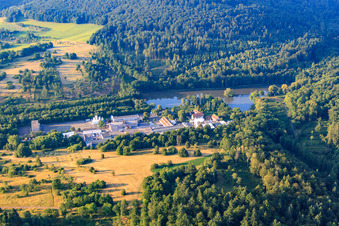 Vue aérienne de Exide Technologies GmbH à Thiergartenweiher à Büdingen dans le département Hesse, Allemagne