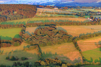 Vue aérienne de Forêt et champ sur le sentier des prairies de montagne à le quartier Herchenhain in Grebenhain dans le département Hesse, Allemagne