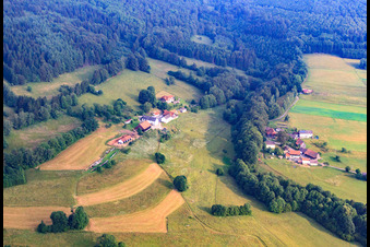 Vue aérienne de Camping Rhöner Auersberg et ferme caprine Auershof à le quartier Oberbach in Wildflecken dans le département Bavière, Allemagne