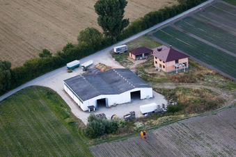 Vue aérienne de Weingartenstr à le quartier Eppstein in Frankenthal dans le département Rhénanie-Palatinat, Allemagne