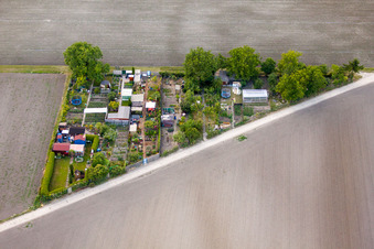 Vue aérienne de Parcelles d'un jardin familial Eppstein (Palatinat) à le quartier Eppstein in Frankenthal dans le département Rhénanie-Palatinat, Allemagne