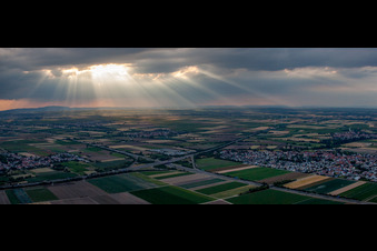 Vue aérienne de Panorama de la ville et des environs à Beindersheim dans le département Rhénanie-Palatinat, Allemagne