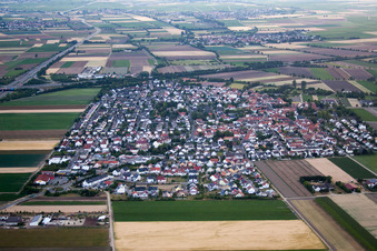 Vue aérienne de De l'est à Beindersheim dans le département Rhénanie-Palatinat, Allemagne