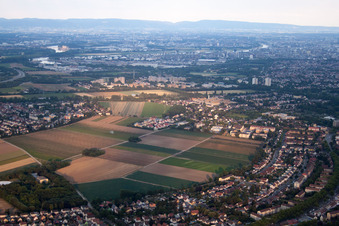 Vue d'oiseau de Frankenthal dans le département Rhénanie-Palatinat, Allemagne