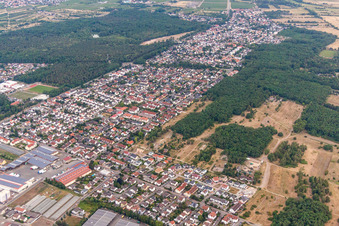 Vue aérienne de Zone urbaine avec périphérie et centre-ville à Maxdorf dans le département Rhénanie-Palatinat, Allemagne