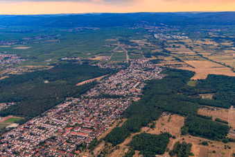 Vue aérienne de Vue de la ville depuis le nord-est à Maxdorf dans le département Rhénanie-Palatinat, Allemagne