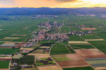 Vue aérienne de Vue de la ville depuis l'est à Gönnheim dans le département Rhénanie-Palatinat, Allemagne