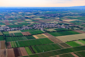 Vue aérienne de Vue du nord à le quartier Rödersheim in Rödersheim-Gronau dans le département Rhénanie-Palatinat, Allemagne
