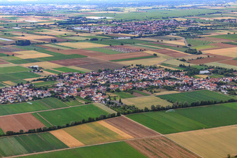 Vue aérienne de Vue du nord à le quartier Rödersheim in Rödersheim-Gronau dans le département Rhénanie-Palatinat, Allemagne