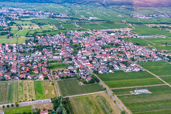 Vue aérienne de De l'est à Niederkirchen bei Deidesheim dans le département Rhénanie-Palatinat, Allemagne