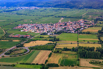 Vue aérienne de Vue de la ville depuis l'est à Ruppertsberg dans le département Rhénanie-Palatinat, Allemagne